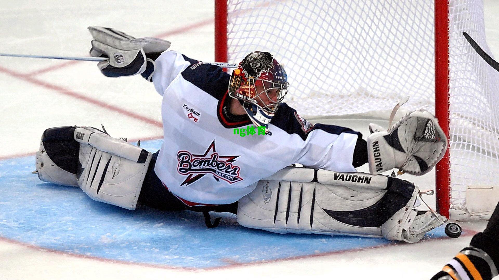 巴斯韦伯斯特联手救赎,辽宁广厦双双告捷迎转折