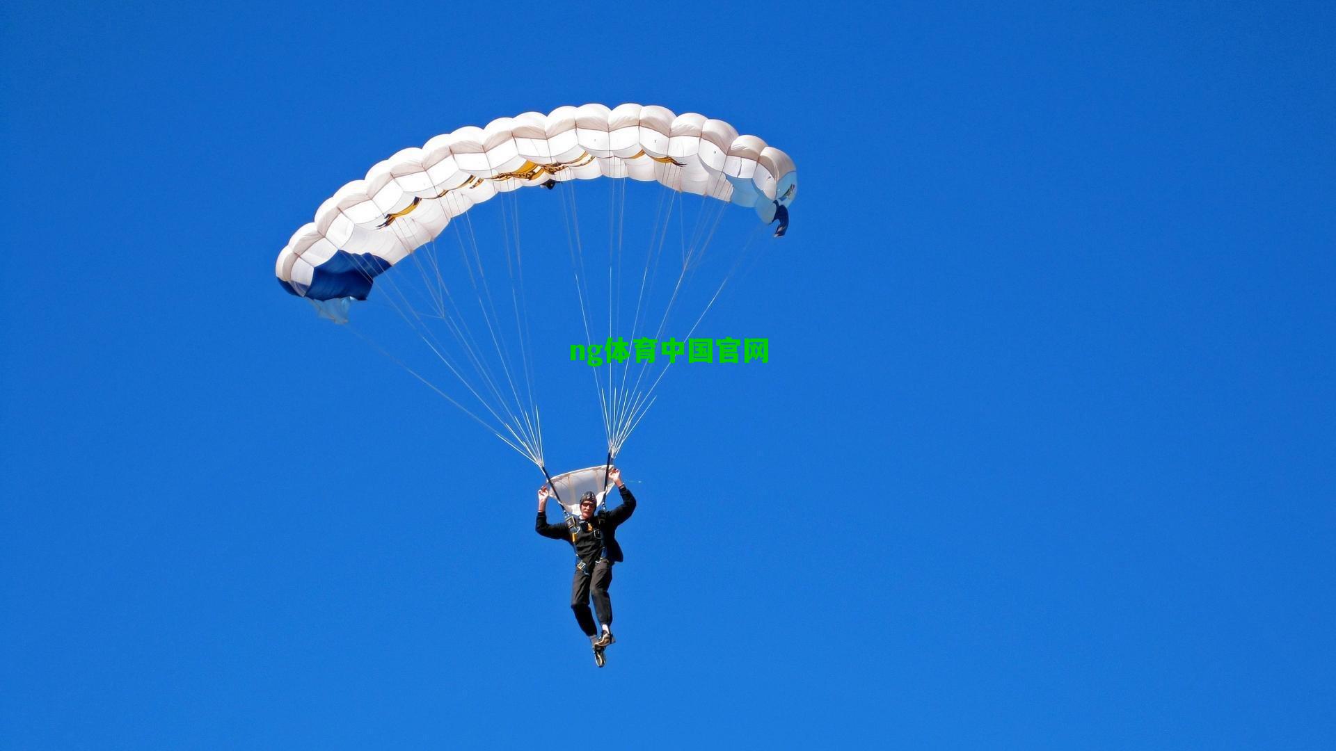 范德芬未谢场引热议，TA评论称不必上纲上线，谢场文化背后的体育精神思考